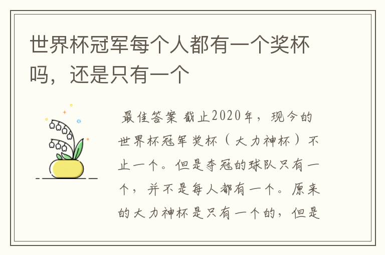世界杯冠军每个人都有一个奖杯吗,还是只有一个