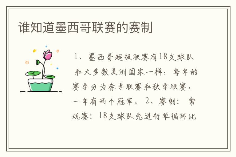 谁知道墨西哥联赛的赛制