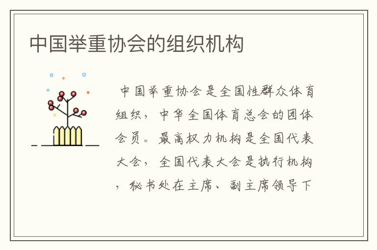 中国举重协会的组织机构