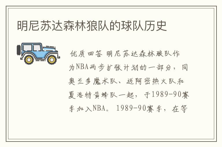 明尼苏达森林狼队的球队历史