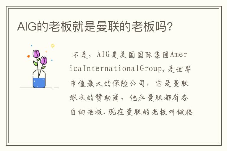 AIG的老板就是曼联的老板吗?