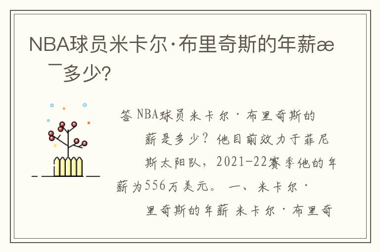 NBA球员米卡尔·布里奇斯的年薪是多少?
