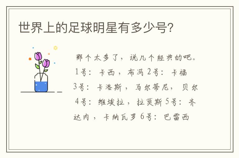 世界上的足球明星有多少号?
