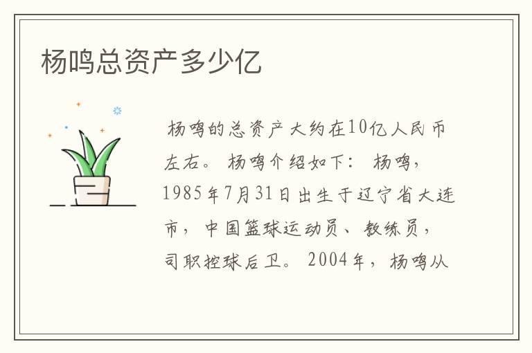 杨鸣总资产多少亿