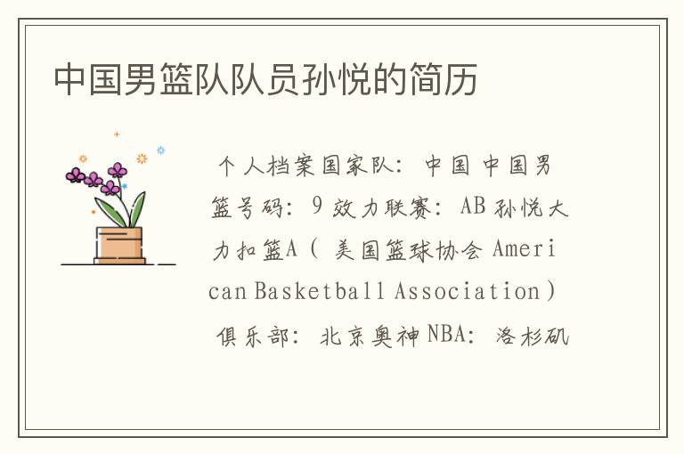 中国男篮队队员孙悦的简历