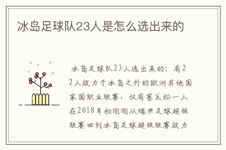 冰岛足球队23人是怎么选出来的