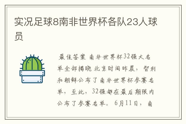实况足球8南非世界杯各队23人球员
