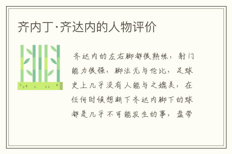 齐内丁·齐达内的人物评价