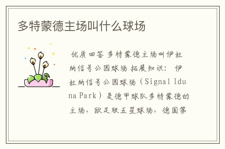 多特蒙德主场叫什么球场