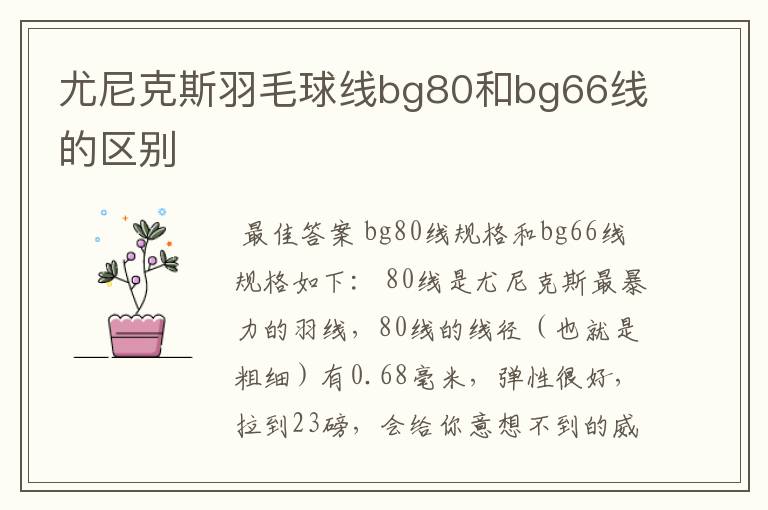 尤尼克斯羽毛球线bg80和bg66线的区别