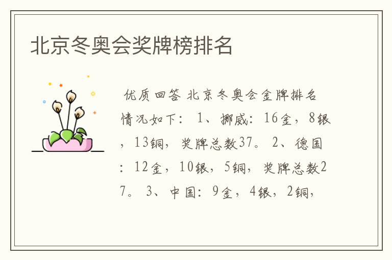 北京冬奥会奖牌榜排名
