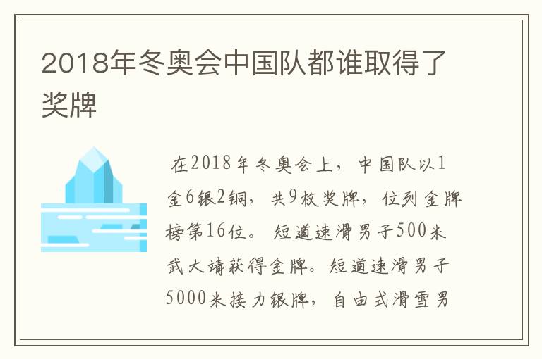 2018年冬奥会中国队都谁取得了奖牌