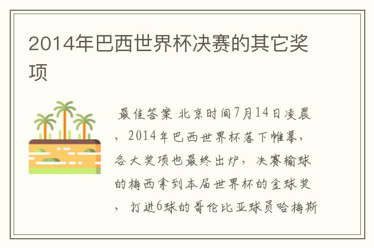 2014年巴西世界杯决赛的其它奖项