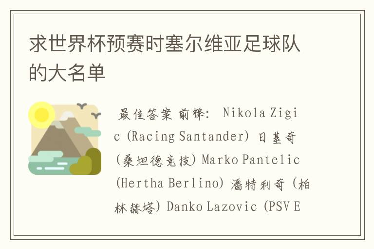 求世界杯预赛时塞尔维亚足球队的大名单