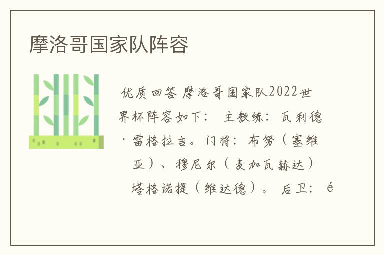 摩洛哥国家队阵容