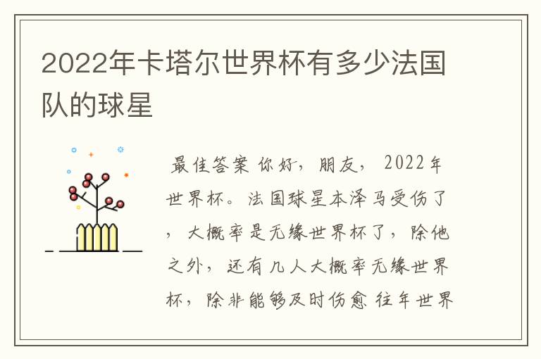 2022年卡塔尔世界杯有多少法国队的球星
