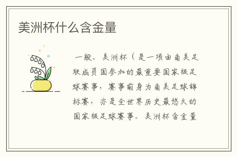 美洲杯什么含金量