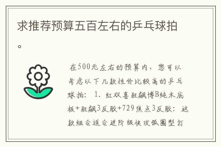 求推荐预算五百左右的乒乓球拍。