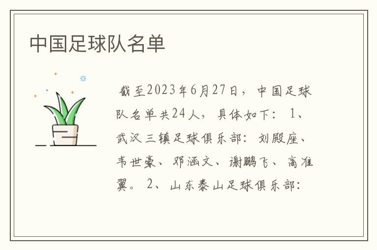中国足球队名单