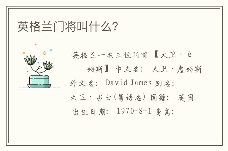 英格兰门将叫什么？