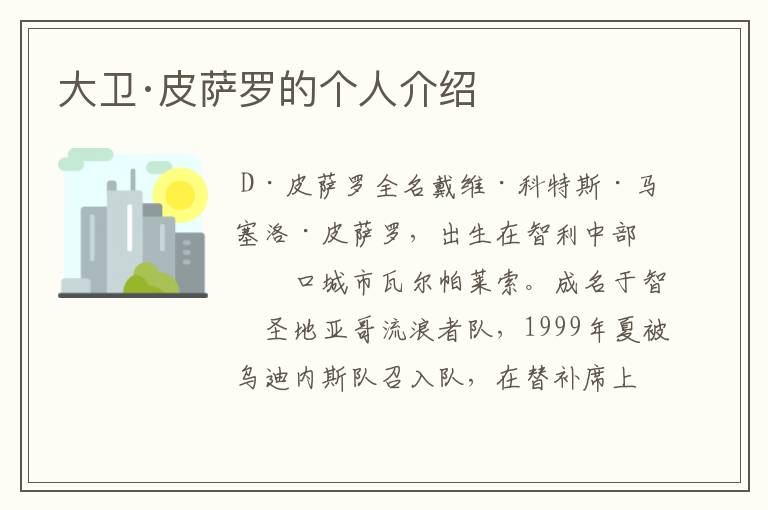 大卫·皮萨罗的个人介绍