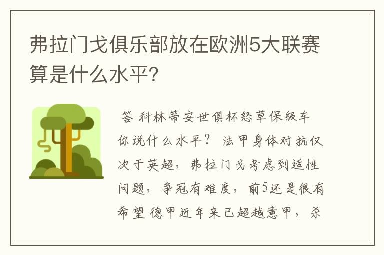 弗拉门戈俱乐部放在欧洲5大联赛算是什么水平?