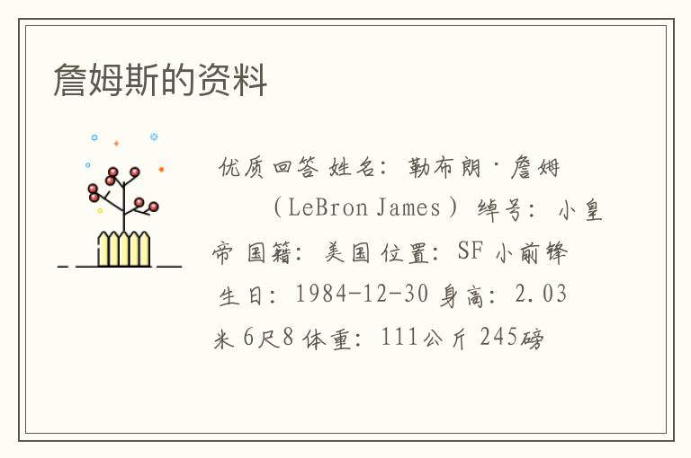 詹姆斯的资料