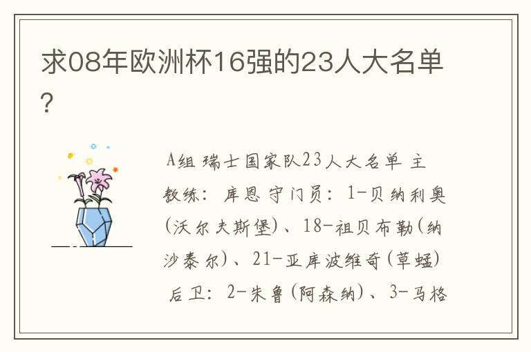 求08年欧洲杯16强的23人大名单?