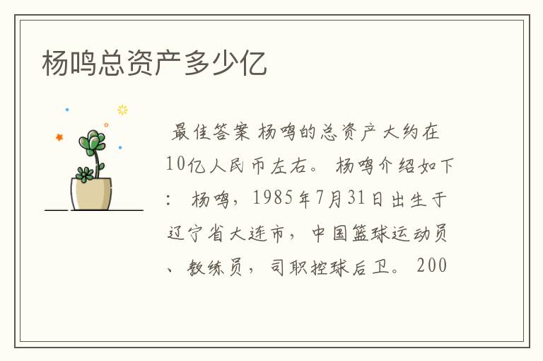 杨鸣总资产多少亿