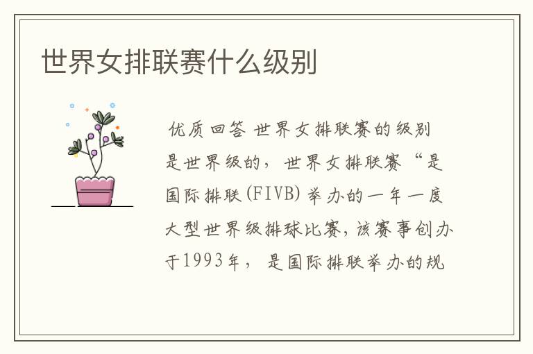 世界女排联赛什么级别