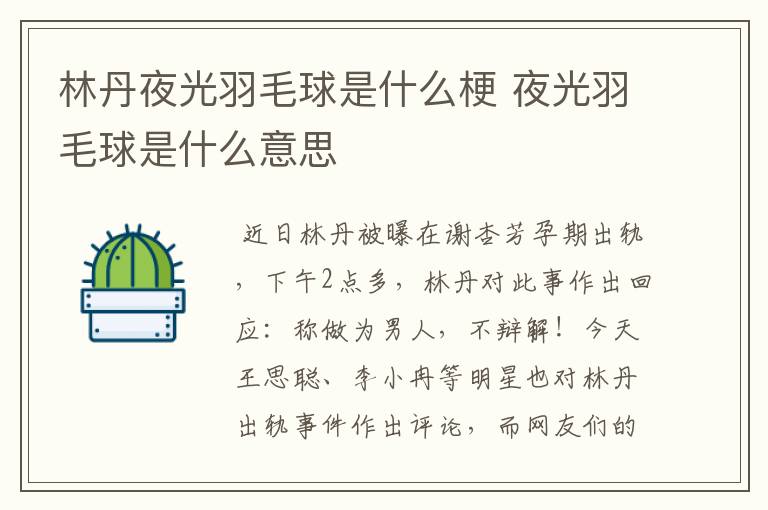 林丹夜光羽毛球是什么梗 夜光羽毛球是什么意思