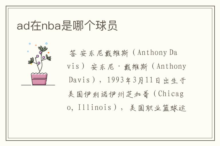 ad在nba是哪个球员