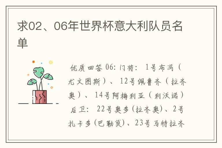 求02、06年世界杯意大利队员名单
