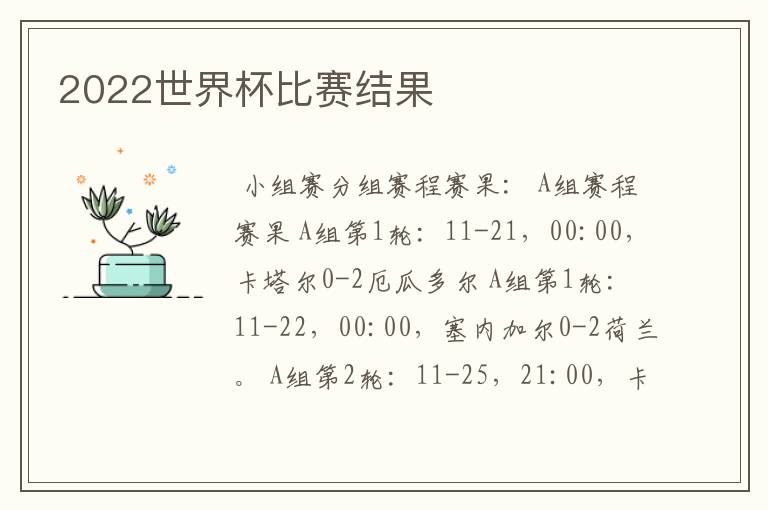 2022世界杯比赛结果