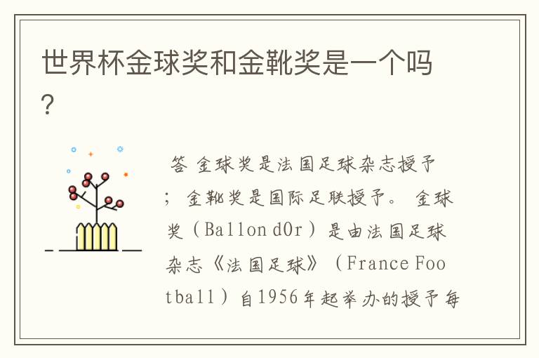 世界杯金球奖和金靴奖是一个吗?