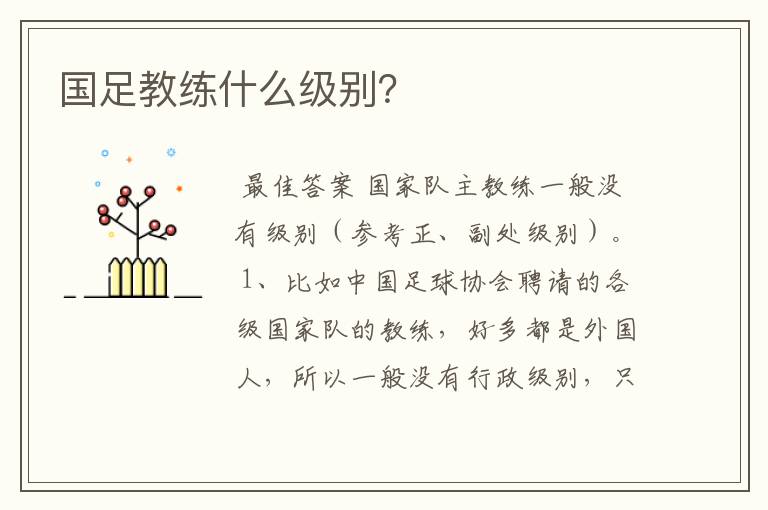 国足教练什么级别?