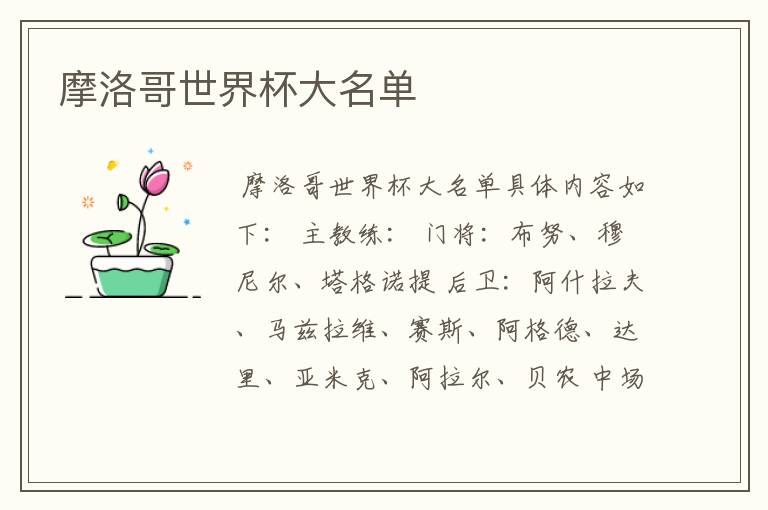 摩洛哥世界杯大名单