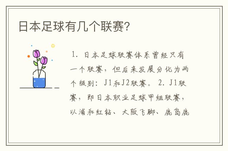 日本足球有几个联赛?