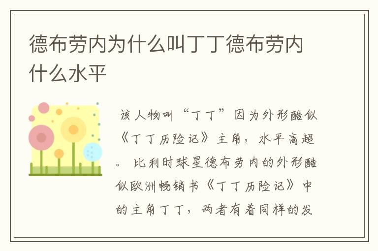 德布劳内为什么叫丁丁德布劳内什么水平