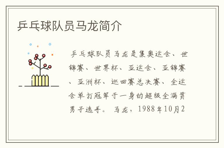 乒乓球队员马龙简介