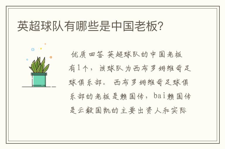 英超球队有哪些是中国老板?