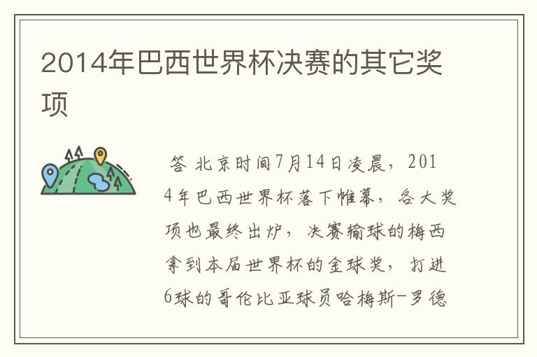 2014年巴西世界杯决赛的其它奖项