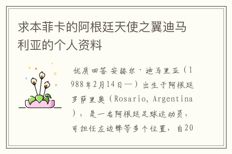 求本菲卡的阿根廷天使之翼迪马利亚的个人资料