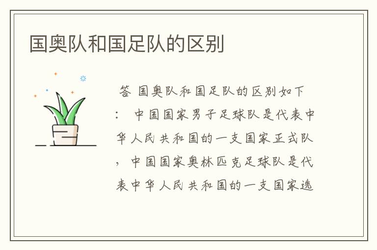 国奥队和国足队的区别