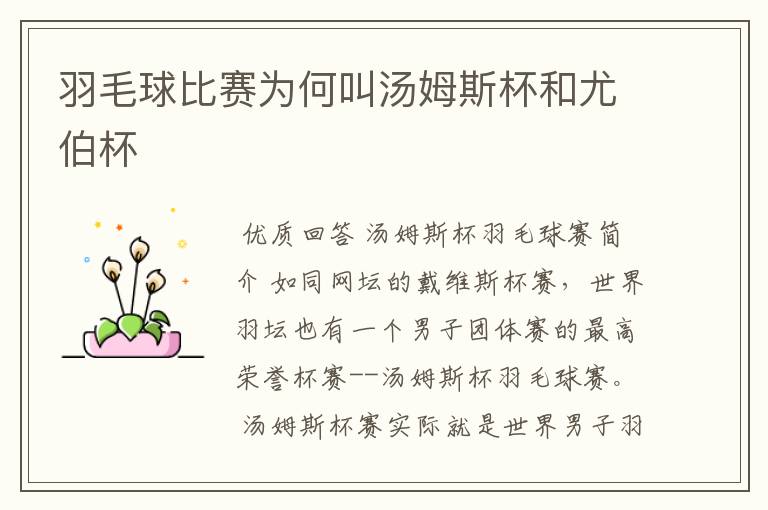 羽毛球比赛为何叫汤姆斯杯和尤伯杯