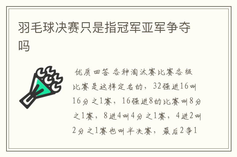 羽毛球决赛只是指冠军亚军争夺吗