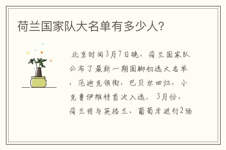 荷兰国家队大名单有多少人?