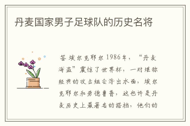 丹麦国家男子足球队的历史名将