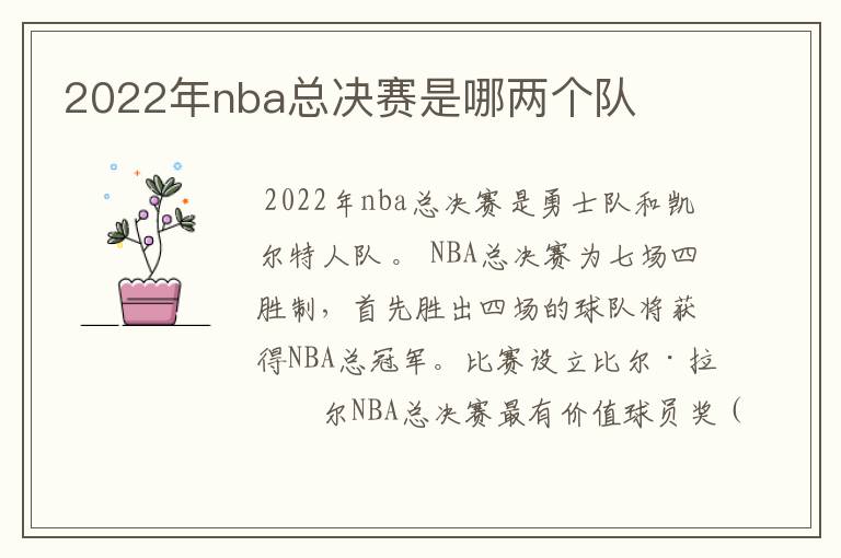 2022年nba总决赛是哪两个队