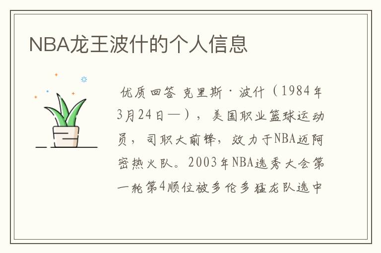NBA龙王波什的个人信息